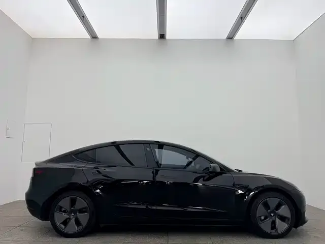 Tesla Model 3 2021 из CN, фото 2