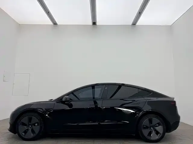 Tesla Model 3 2021 из CN, фото 8