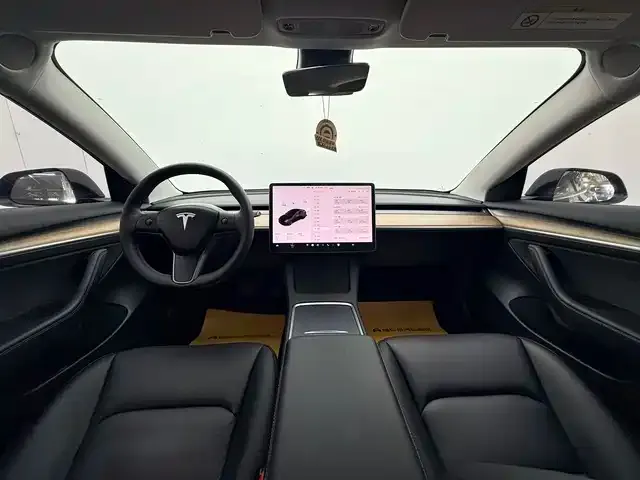 Tesla Model 3 2021 из CN, фото 3