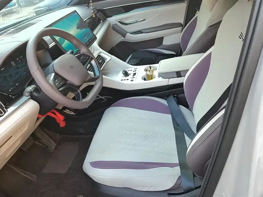 BYD PLUS New Energy — фото 10