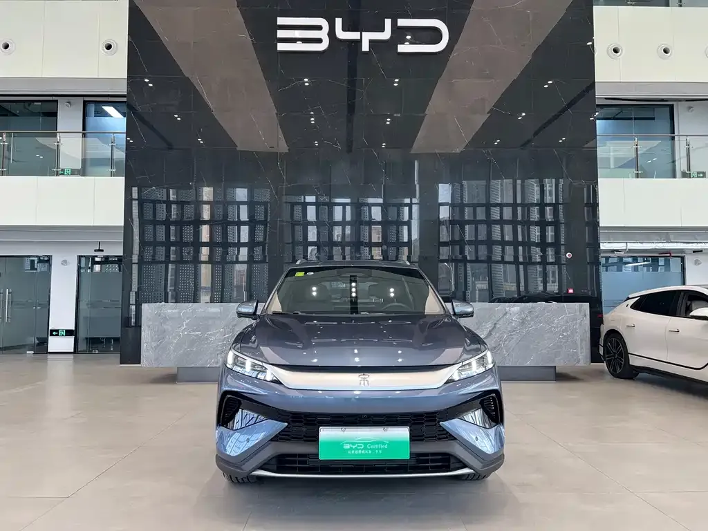 BYD Pro New Energy 2025 из CN, фото 2