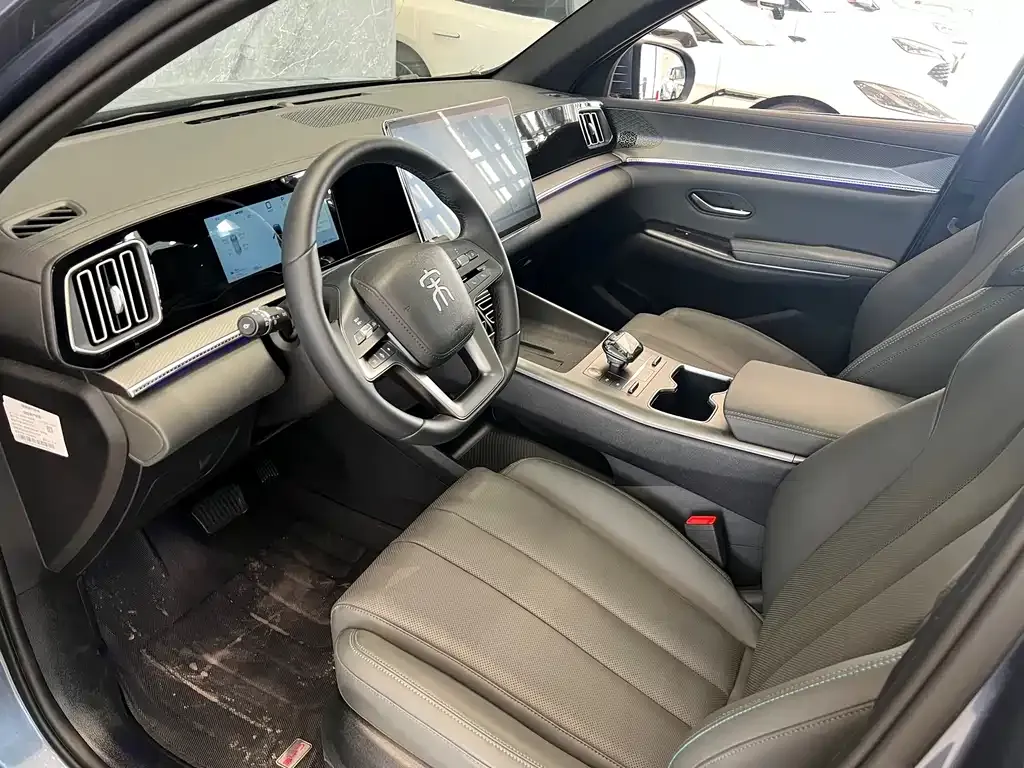 BYD Pro New Energy 2025 из CN, фото 7