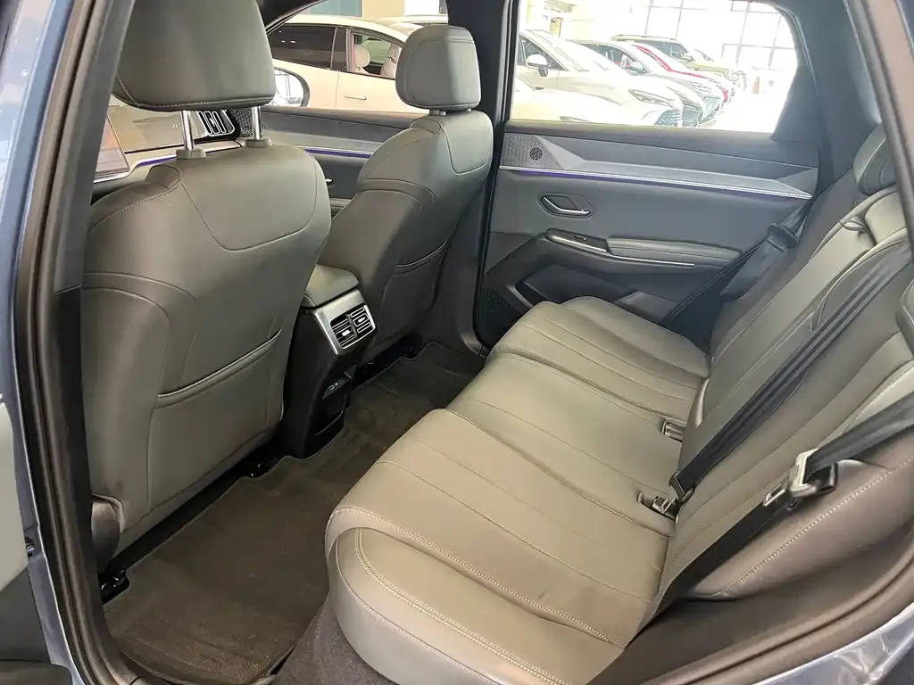 BYD Pro New Energy 2025 из CN, фото 3