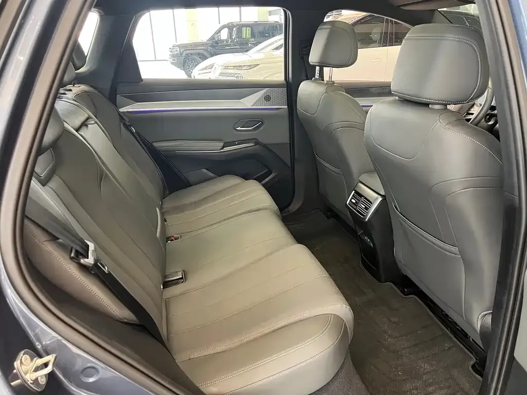 BYD Pro New Energy 2025 из CN, фото 8
