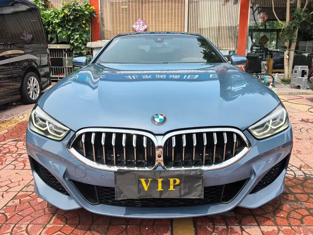 BMW 8 Series 2021 из CN, фото 9