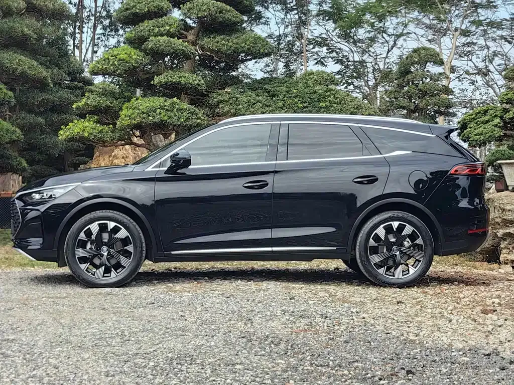 BYD Tang New Energy — фото 10