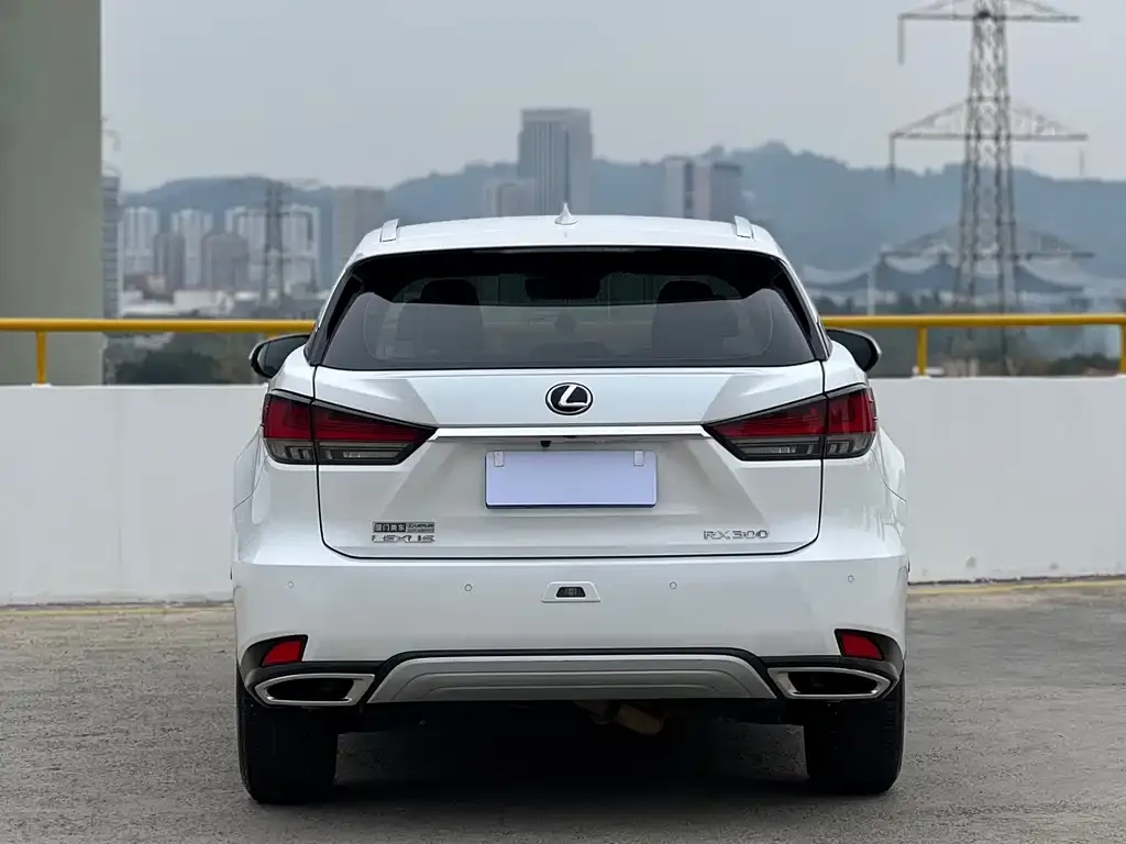 Lexus RX — фото 6