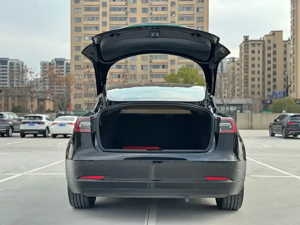 Tesla Model 3 2022 из CN, фото 9