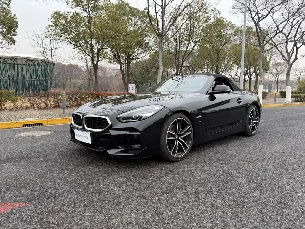 BMW Z4 — фото 1