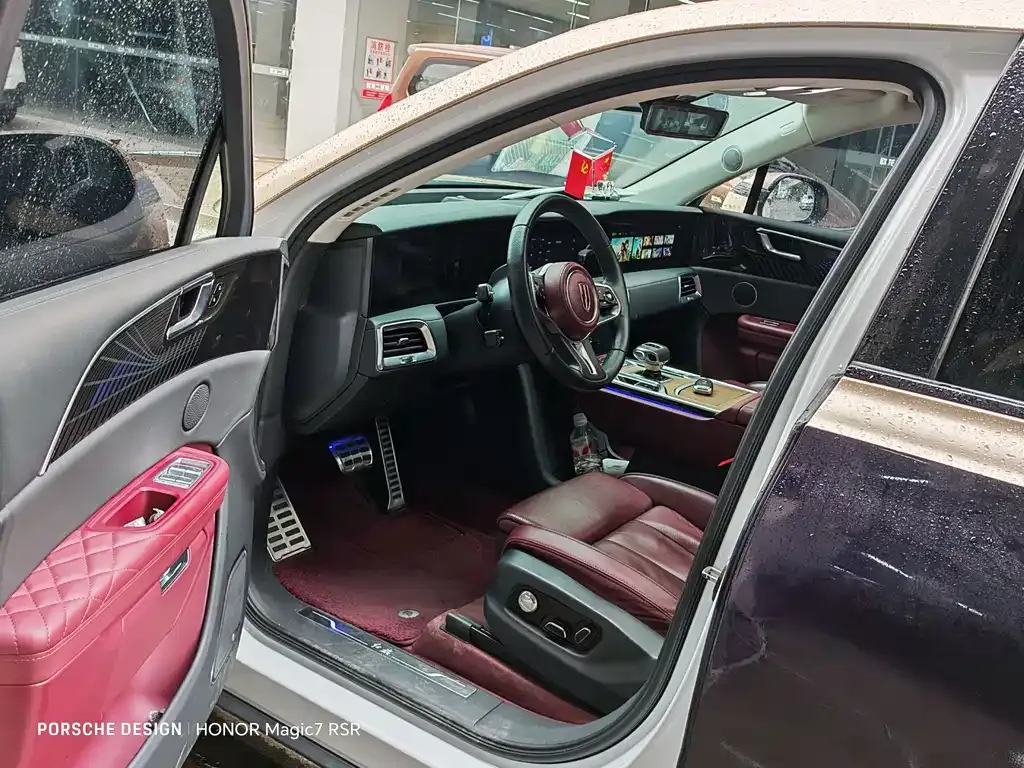 Hongqi E-HS9 2021 из CN, фото 7