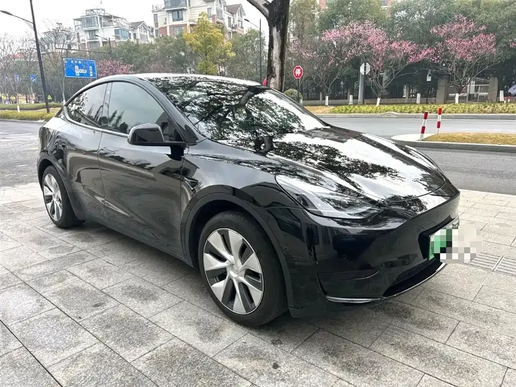 Tesla Model Y — фото 8