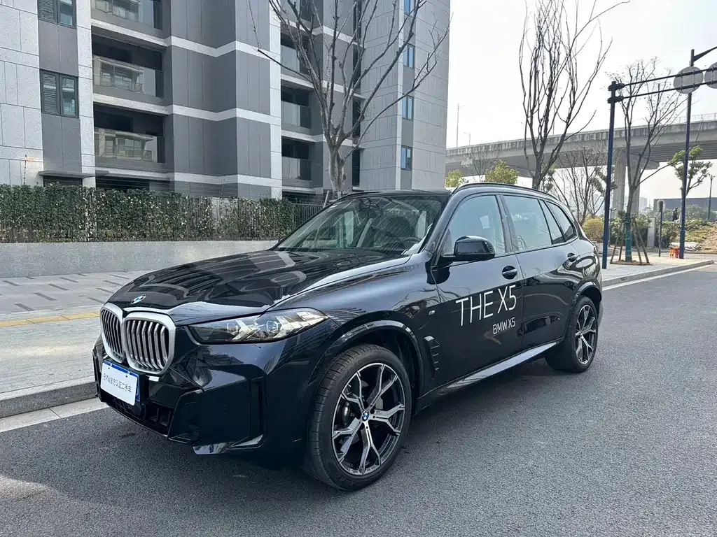 BMW X5 2025 из CN, фото 1