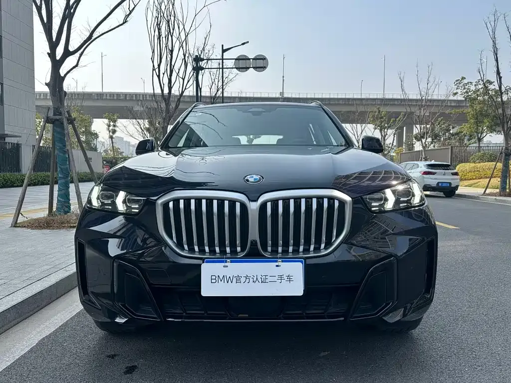 BMW X5 2025 из CN, фото 4