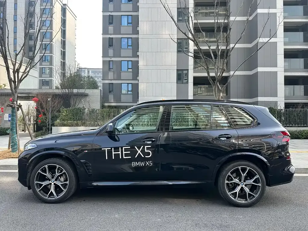 BMW X5 2025 из CN, фото 9