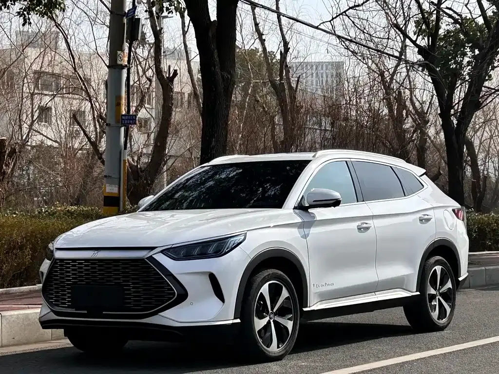 BYD PLUS New Energy — фото 1