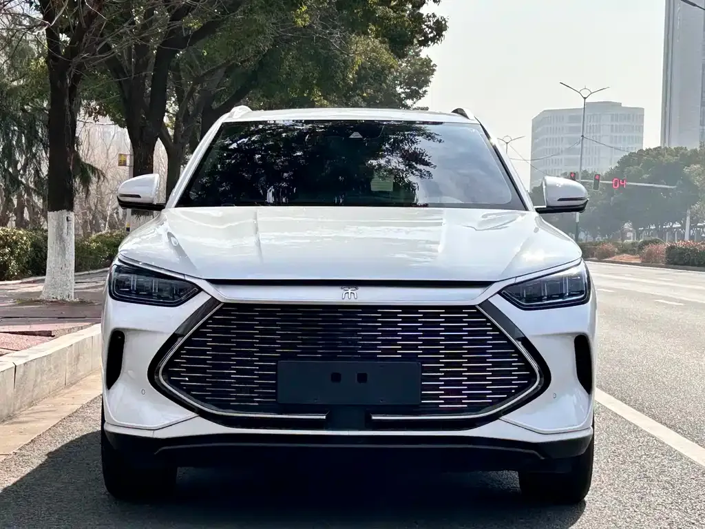 BYD PLUS New Energy — фото 7