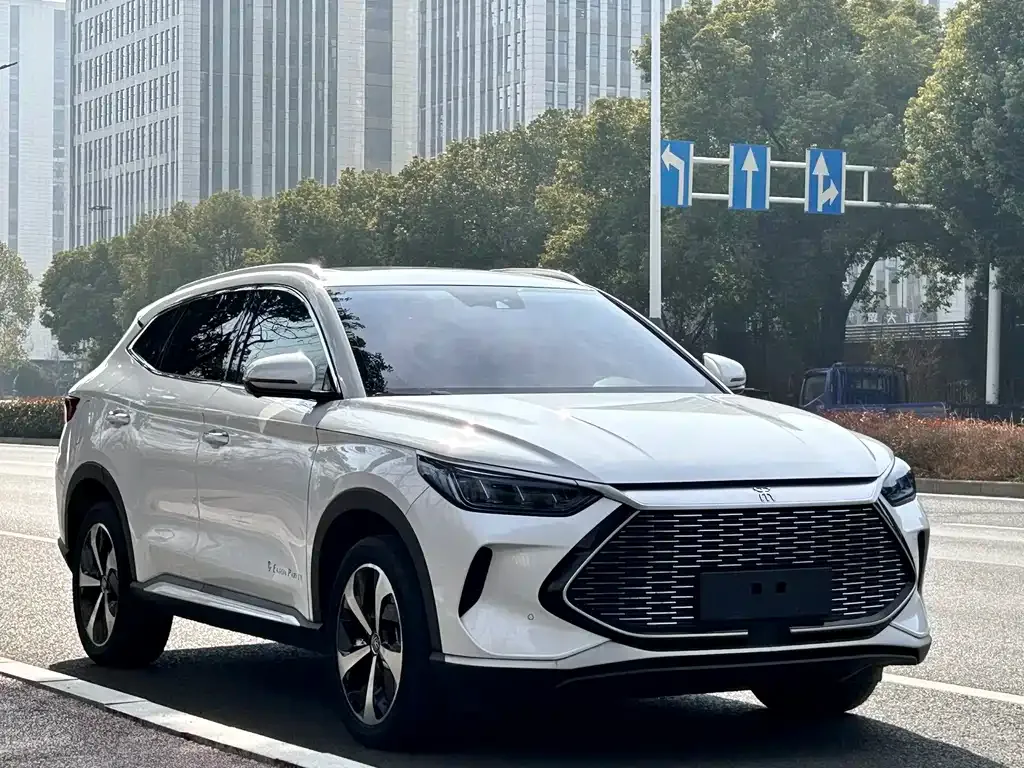 BYD PLUS New Energy — фото 2