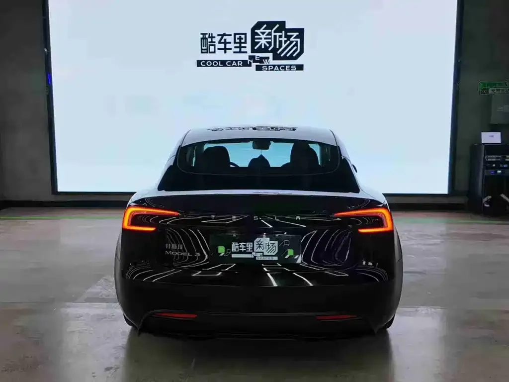 Tesla Model 3 2024 из CN, фото 6