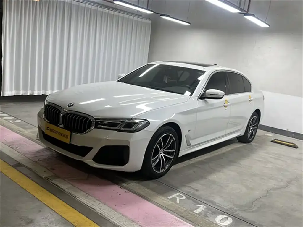 BMW 5 Series 2021 из CN, фото 2