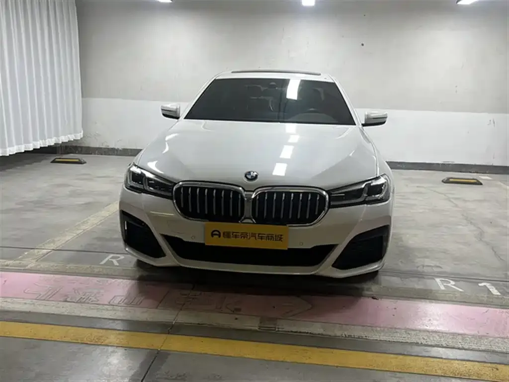 BMW 5 Series 2021 из CN, фото 3