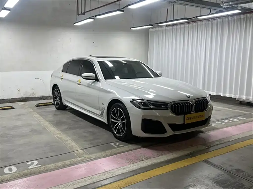 BMW 5 Series 2021 из CN, фото 4