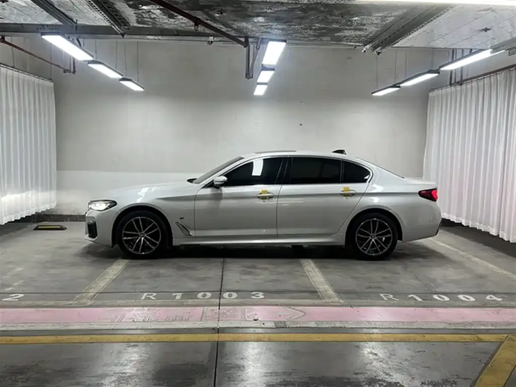 BMW 5 Series 2021 из CN, фото 5