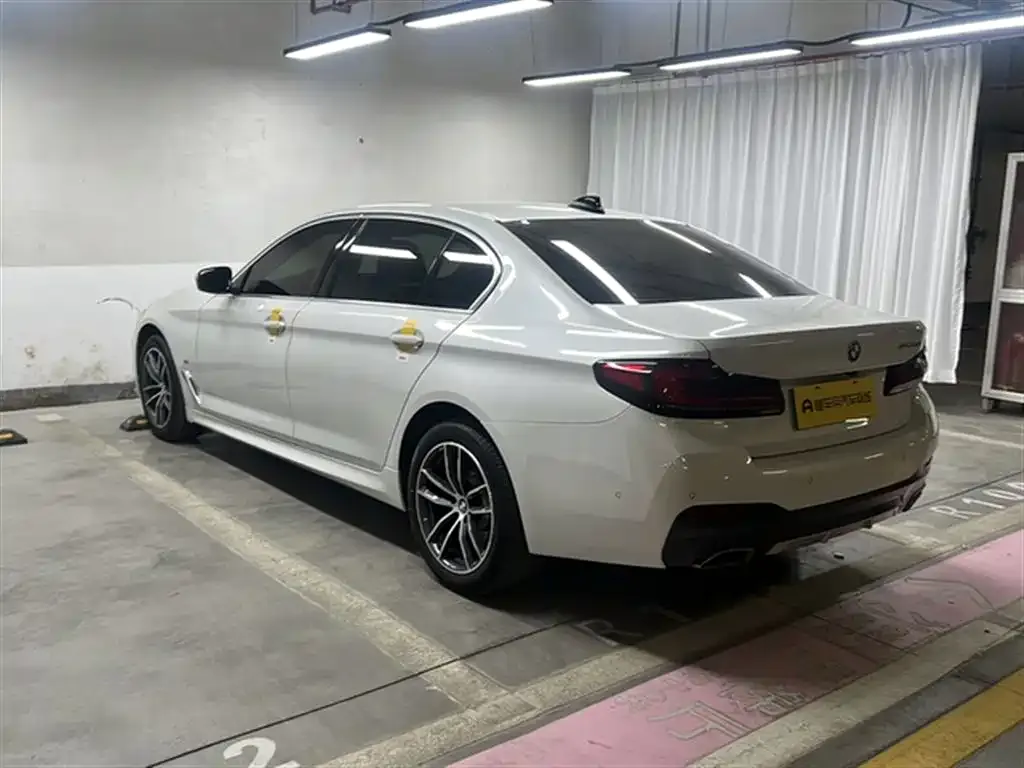 BMW 5 Series 2021 из CN, фото 7