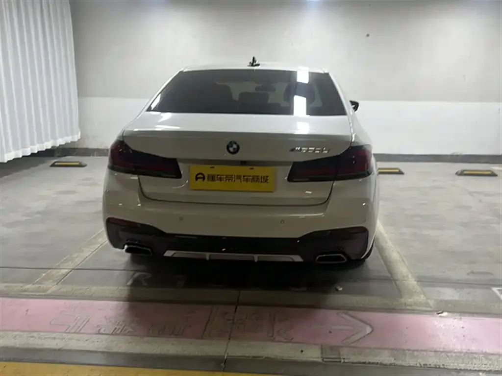 BMW 5 Series 2021 из CN, фото 6