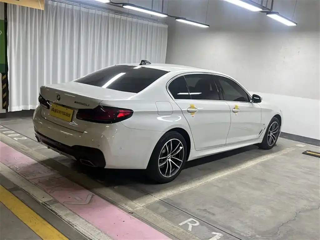 BMW 5 Series 2021 из CN, фото 8