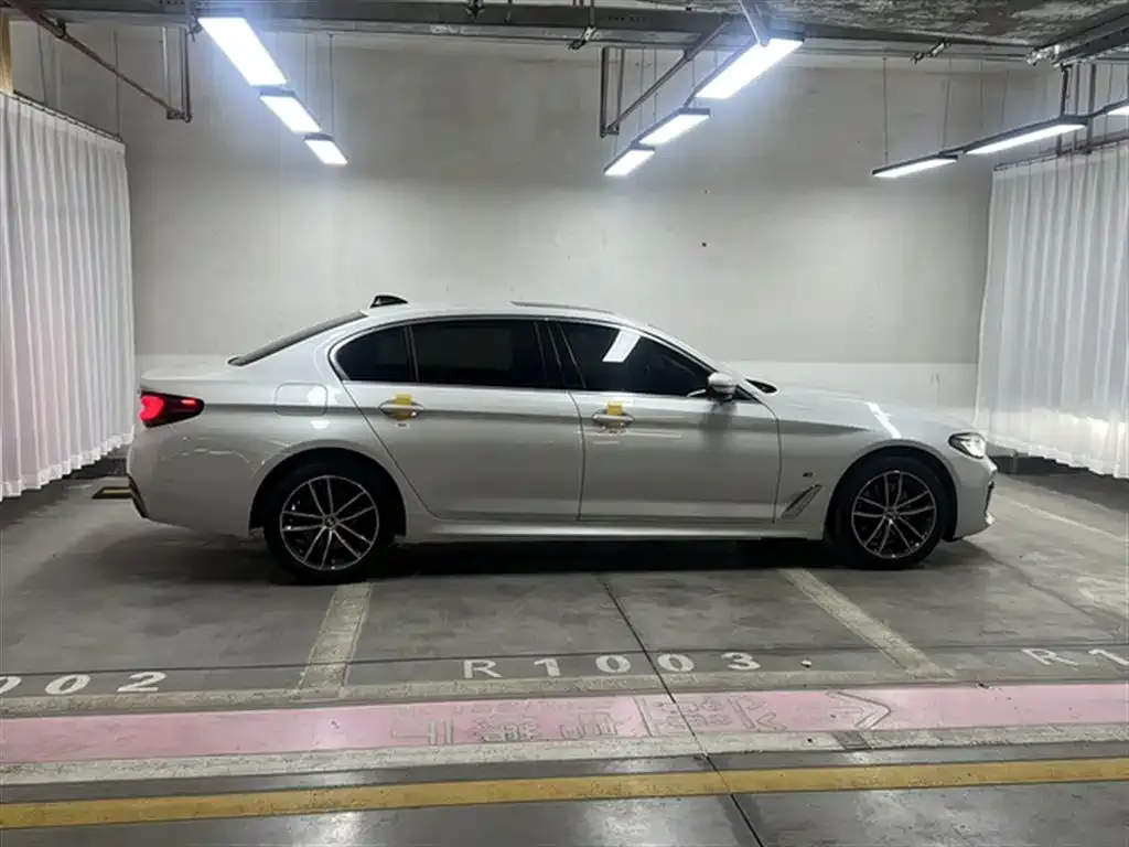 BMW 5 Series 2021 из CN, фото 10