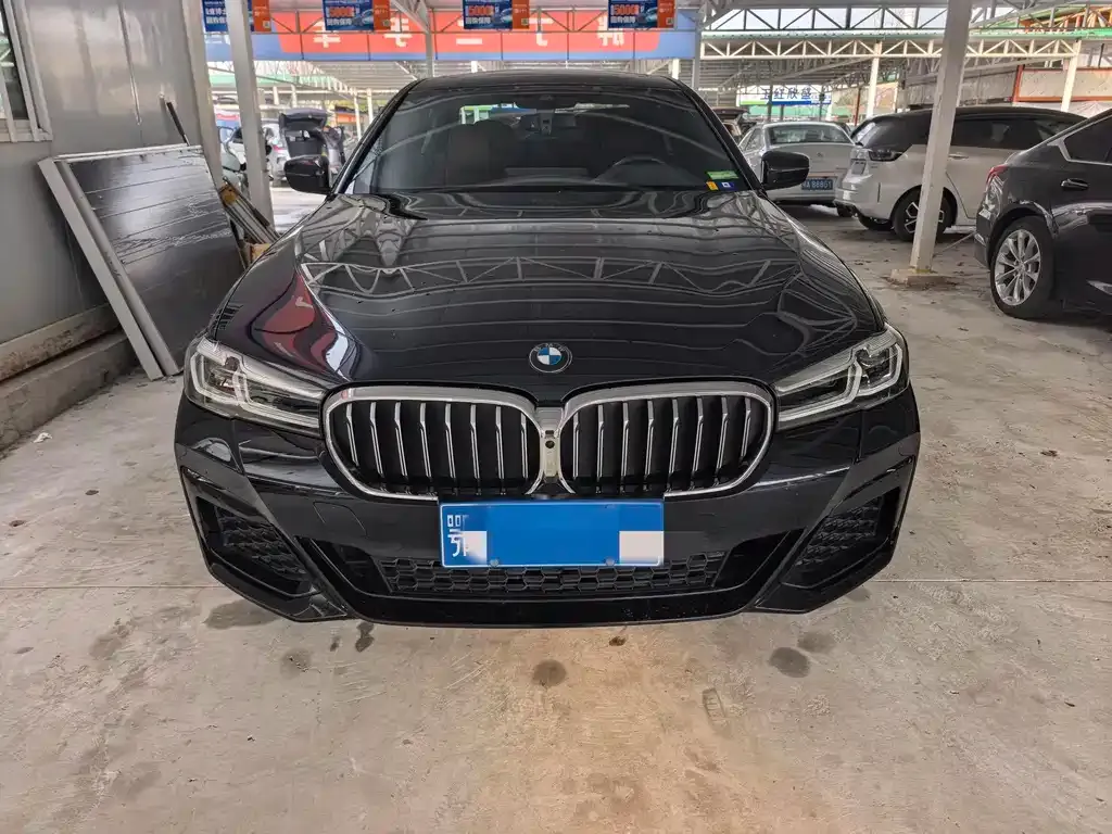 BMW 5 Series 2022 из CN, фото 5