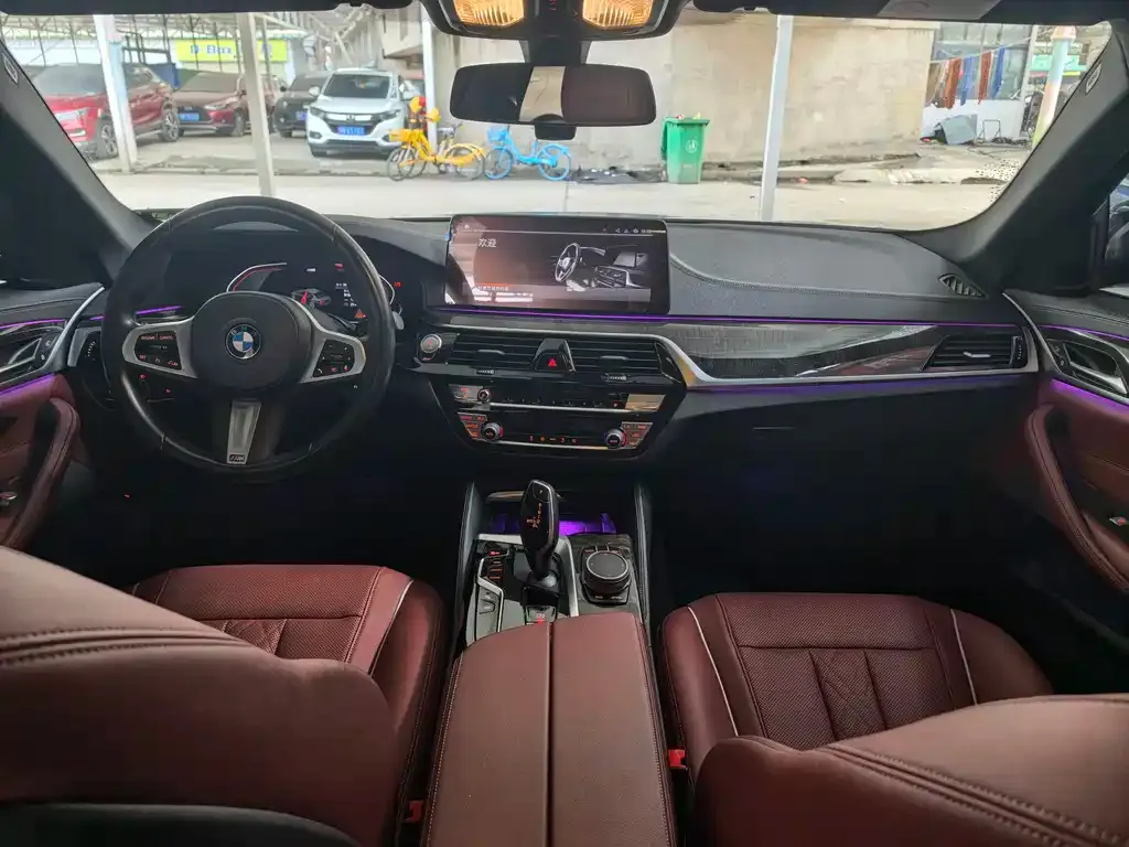 BMW 5 Series 2022 из CN, фото 6