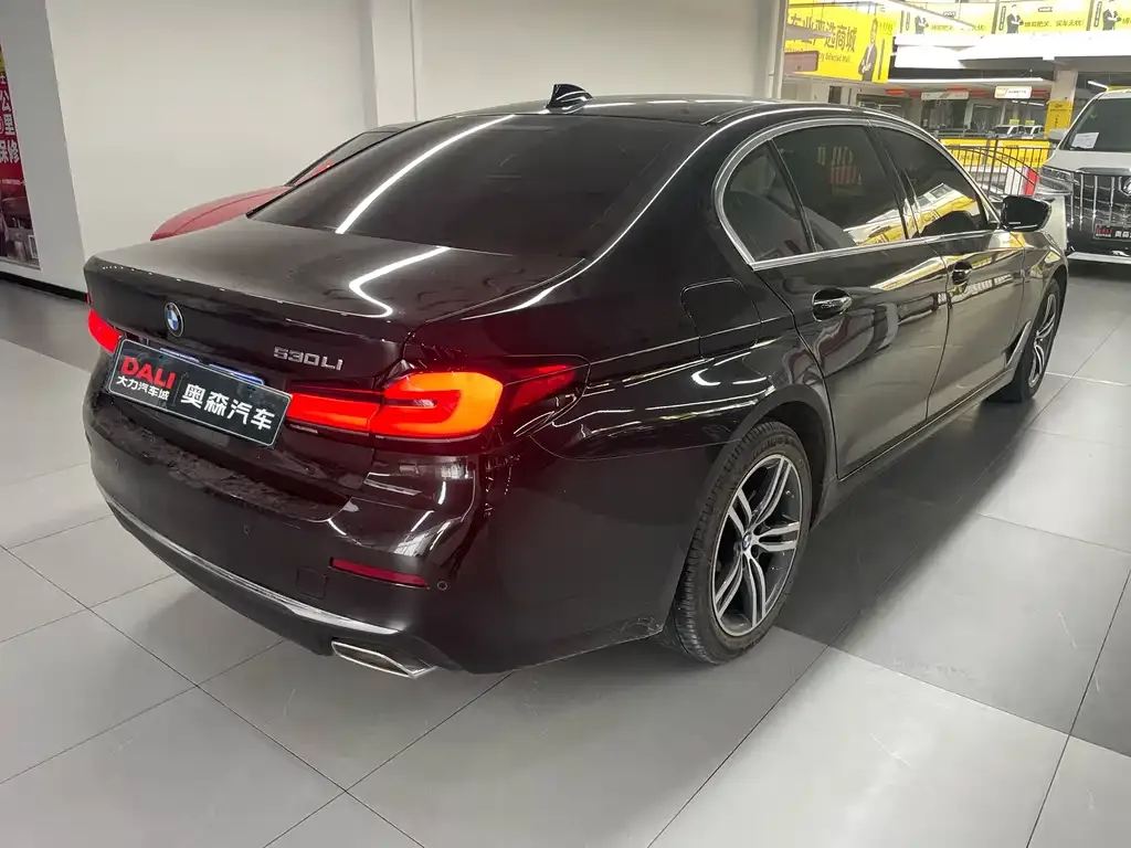 BMW 5 Series 2023 из CN, фото 5