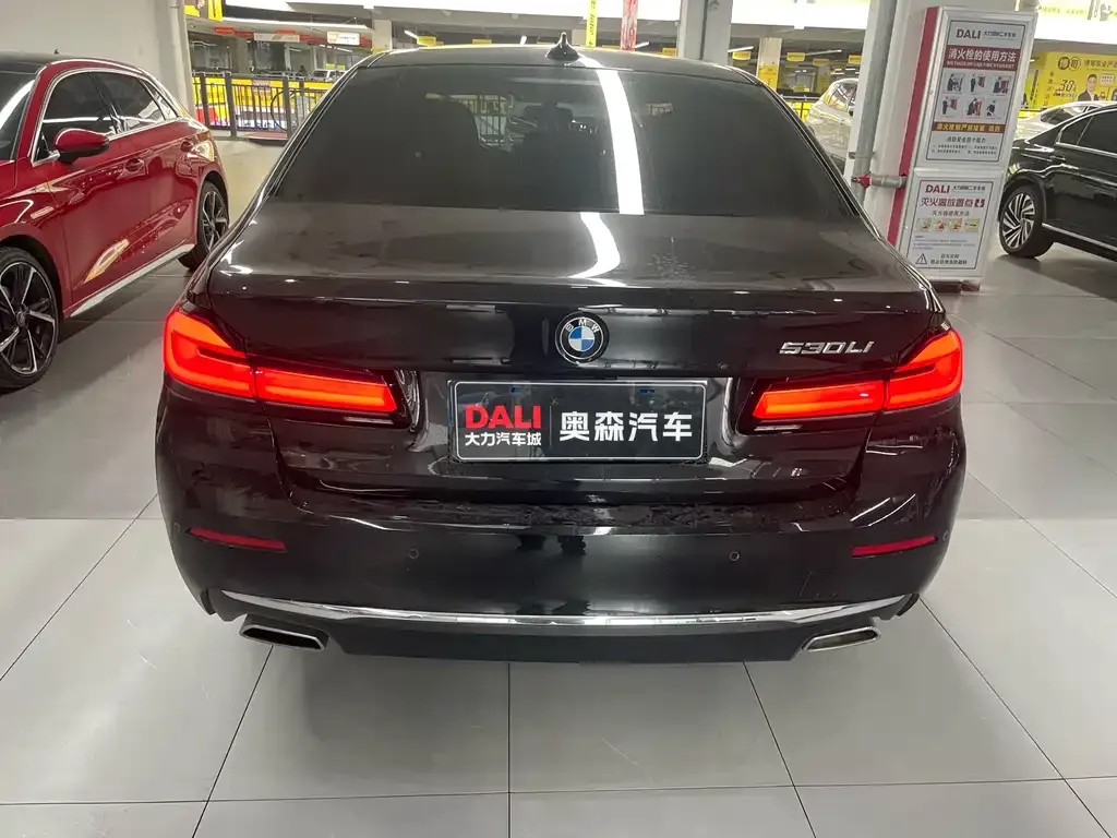 BMW 5 Series 2023 из CN, фото 2