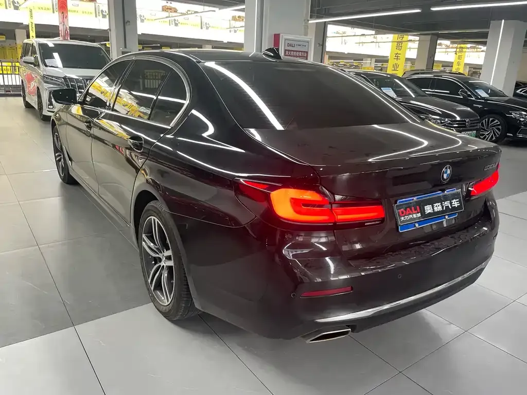BMW 5 Series 2023 из CN, фото 9