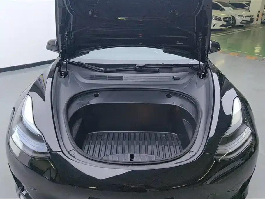 Tesla Model 3 2021 из CN, фото 5