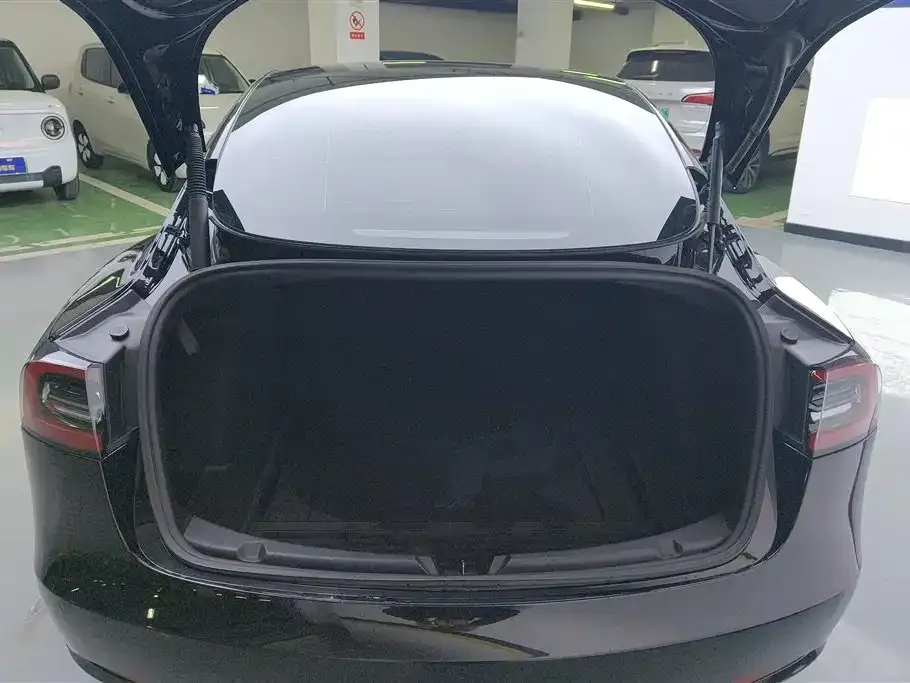 Tesla Model 3 2021 из CN, фото 7