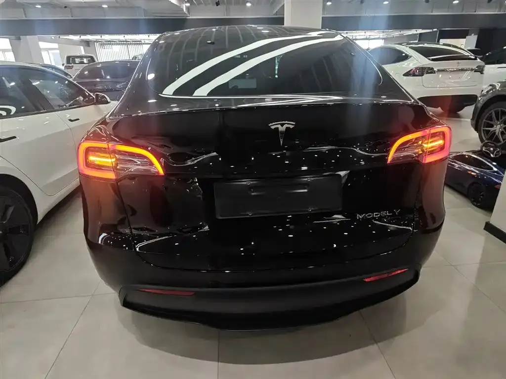 Tesla Model Y — фото 10