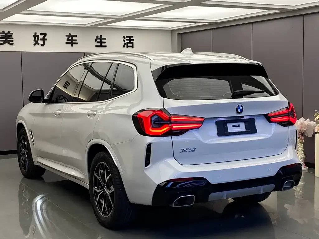 BMW X3 2022 из CN, фото 6