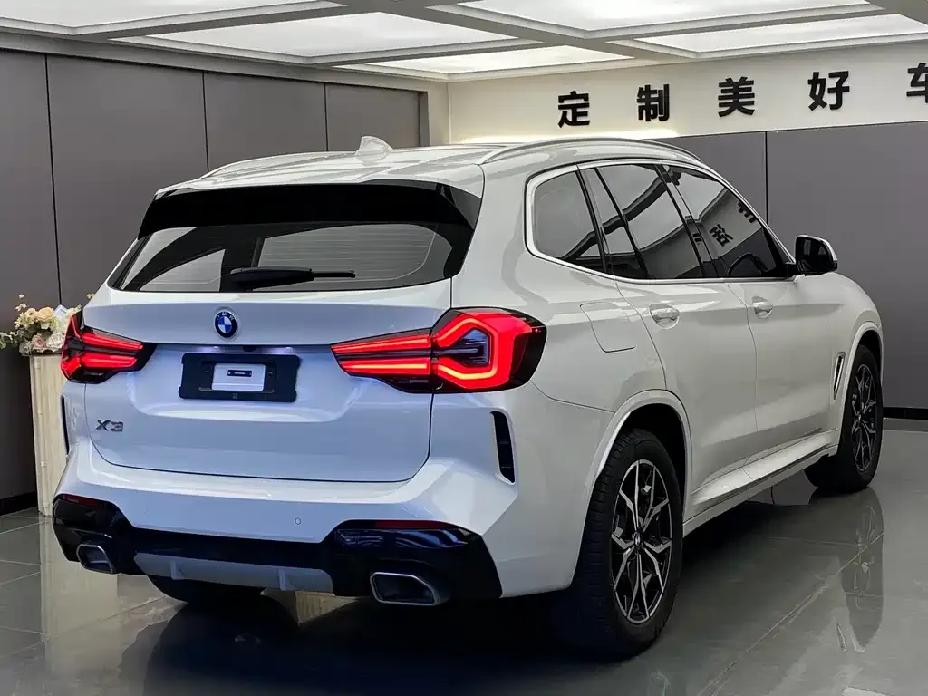 BMW X3 2022 из CN, фото 9