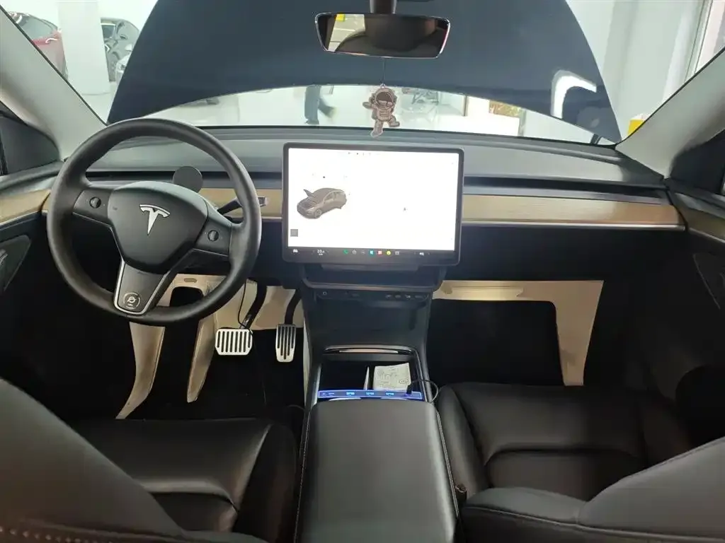 Tesla Model Y 2021 из CN, фото 3