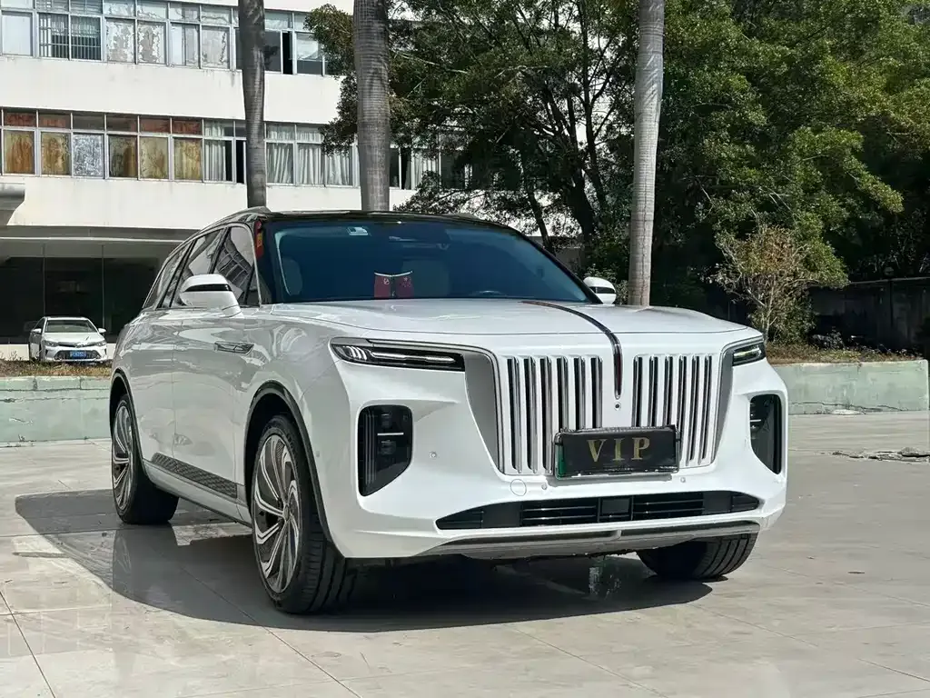 Hongqi E-HS9 2021 из CN, фото 1