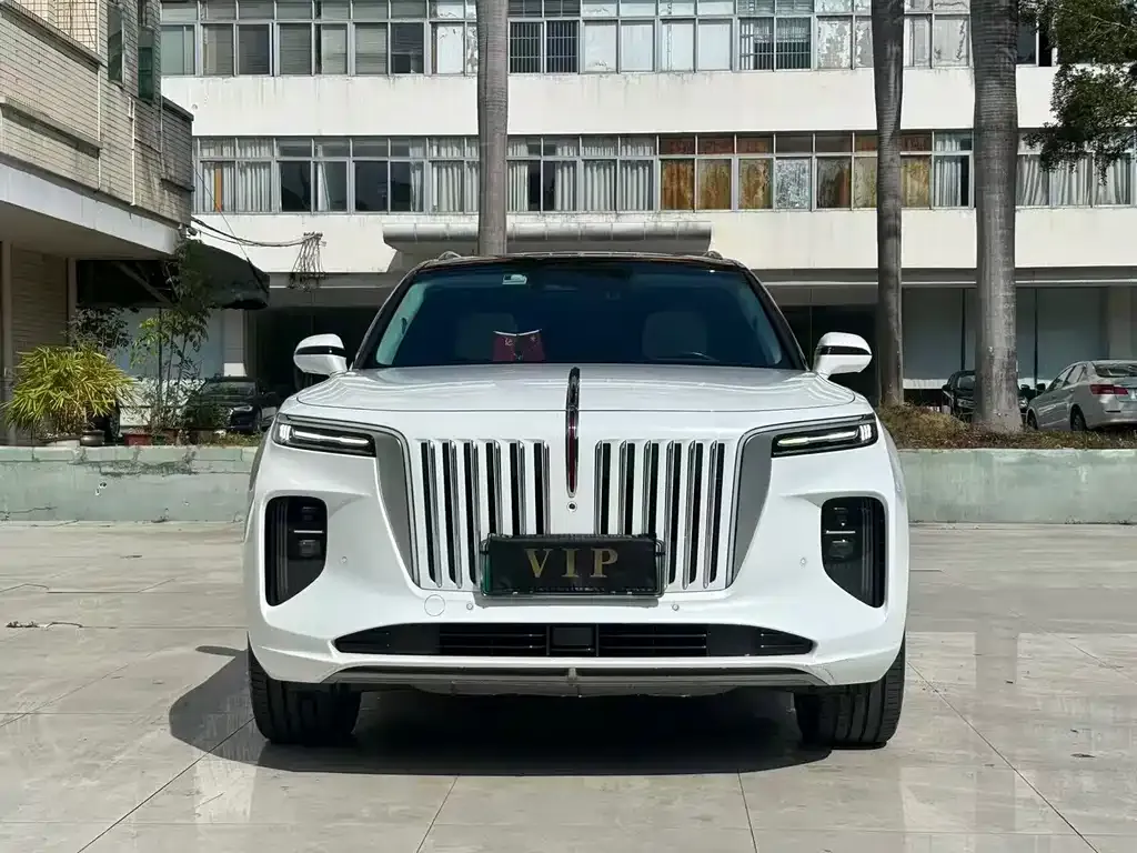 Hongqi E-HS9 2021 из CN, фото 7