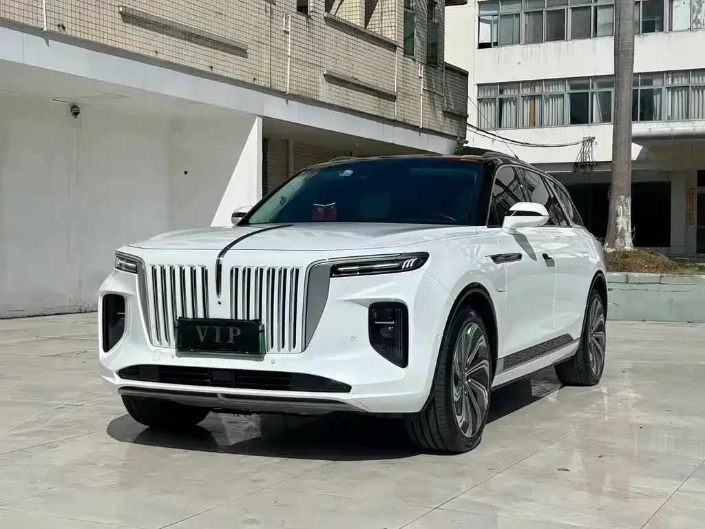 Hongqi E-HS9 2021 из CN, фото 8