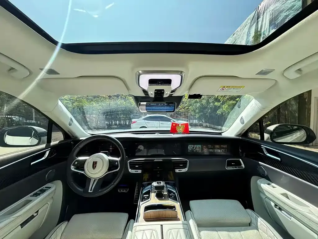 Hongqi E-HS9 2021 из CN, фото 3