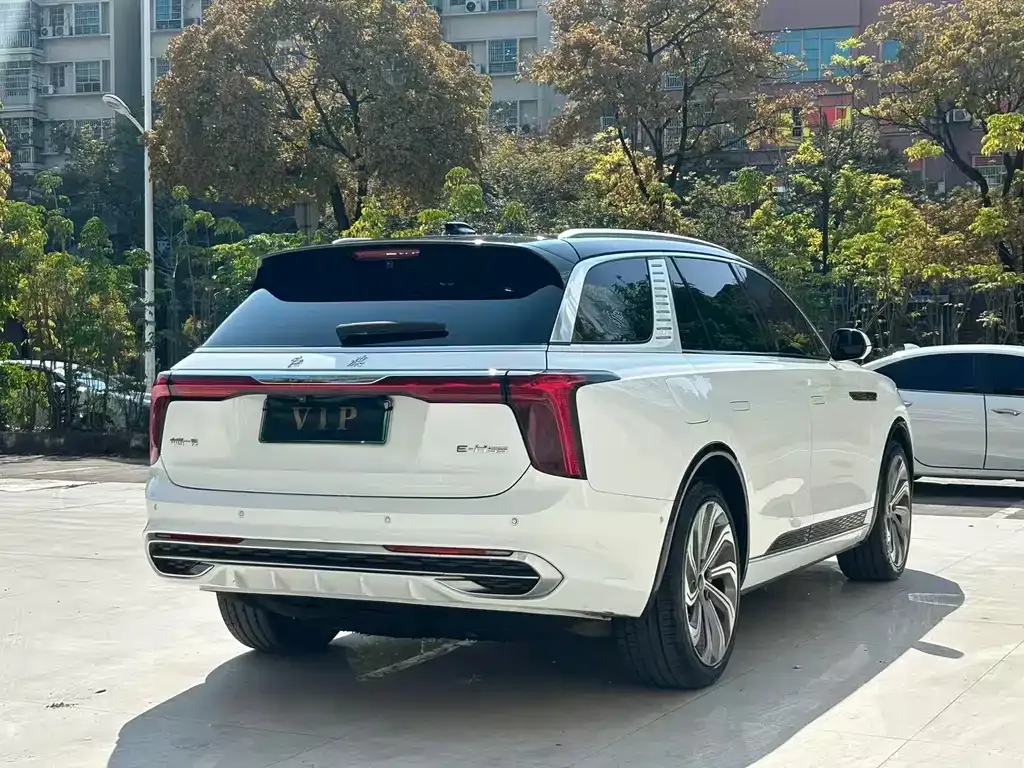 Hongqi E-HS9 2021 из CN, фото 9