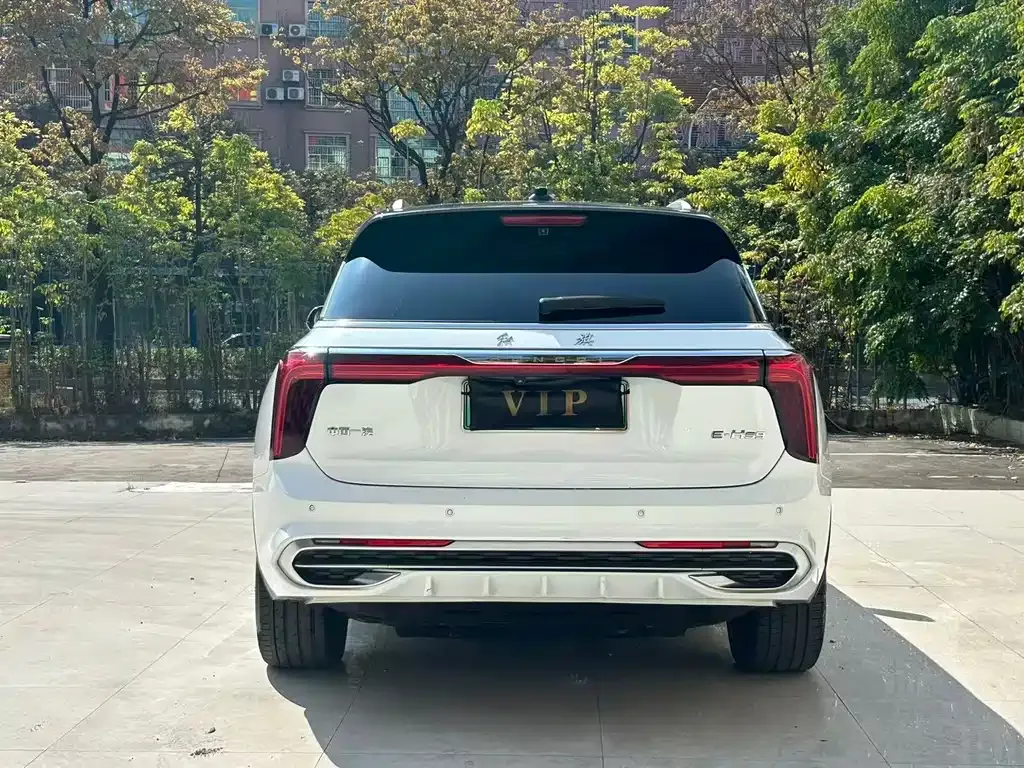 Hongqi E-HS9 2021 из CN, фото 5