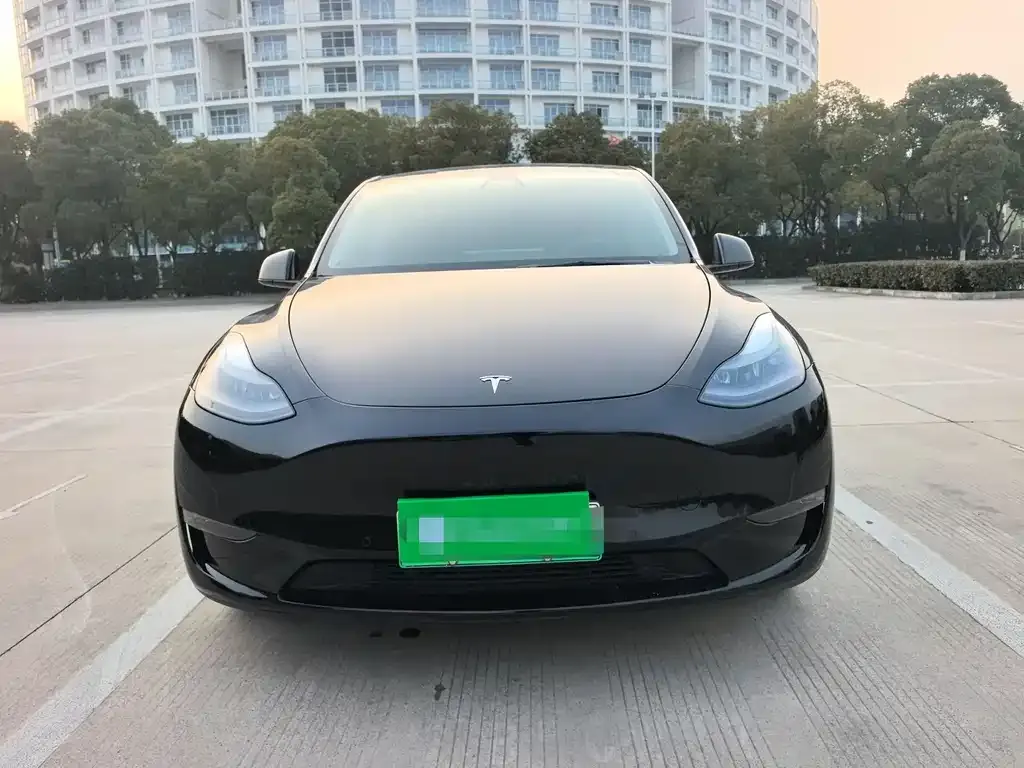 Tesla Model Y — фото 2