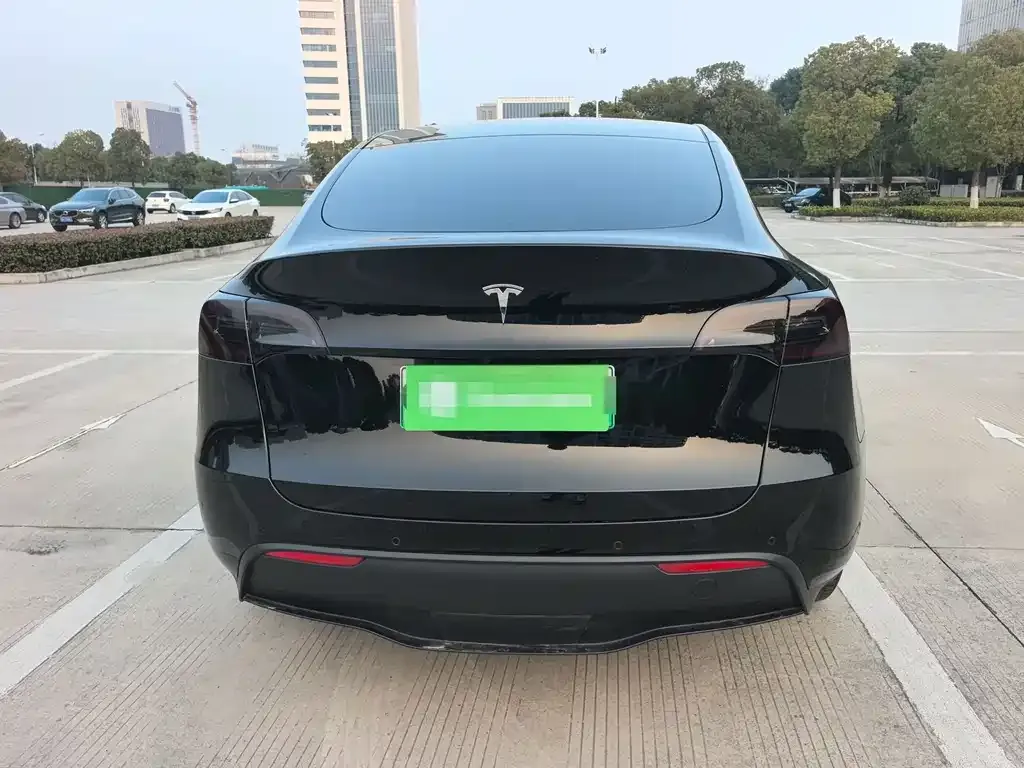 Tesla Model Y — фото 5