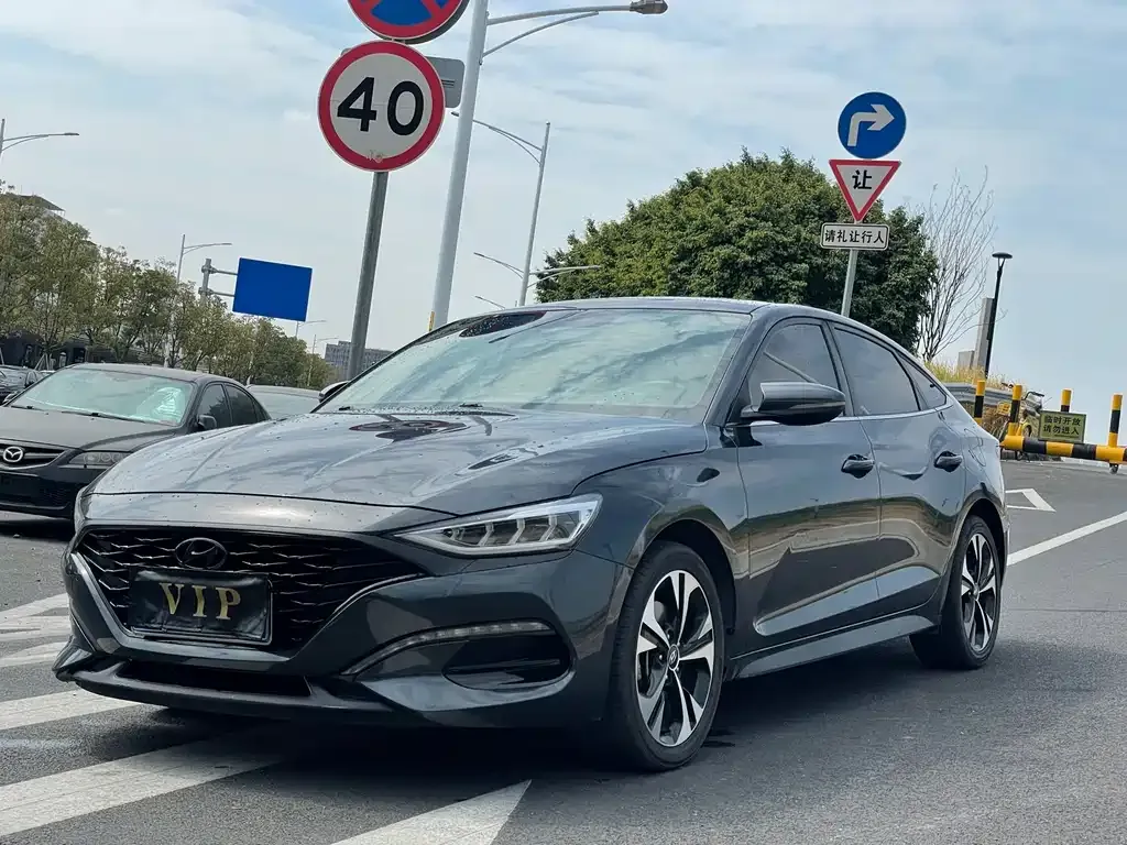 Hyundai Fista — фото 1